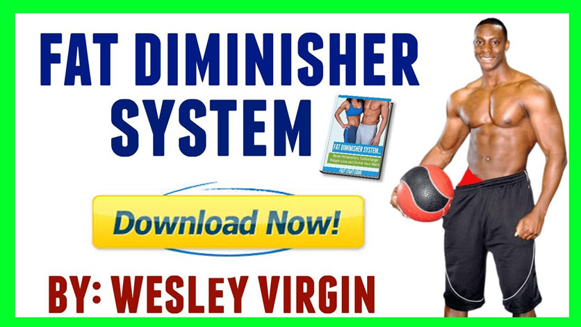 Fat Diminisher A Digital Book By Wesley Virgihttps