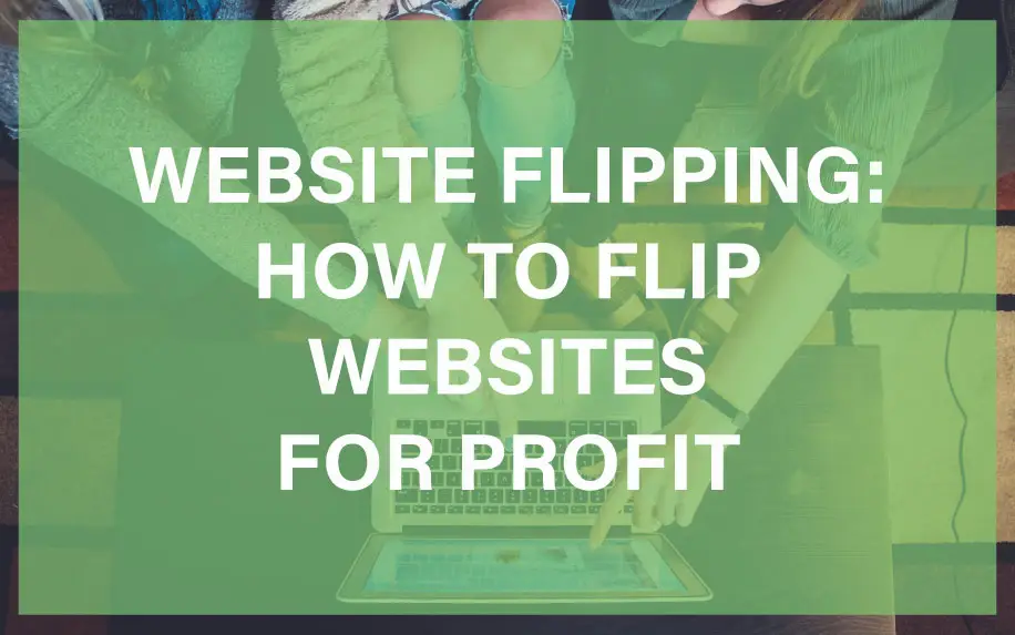 Flip Website For Profit