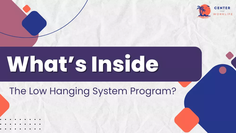 What does the low hanging system program entail