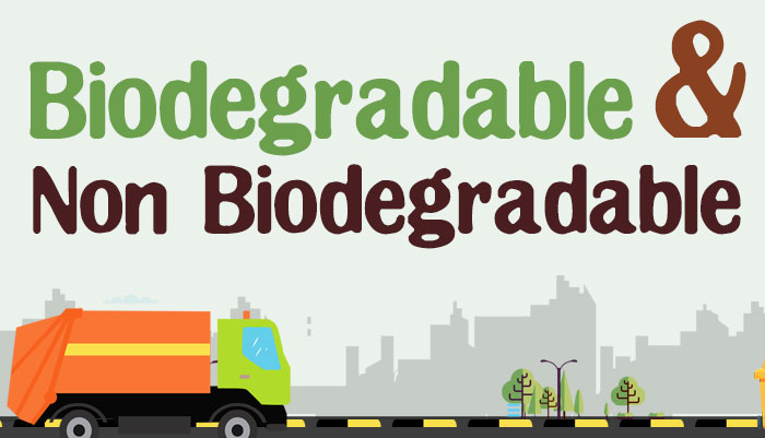 Biodegradable And Non Biodegradable Waste