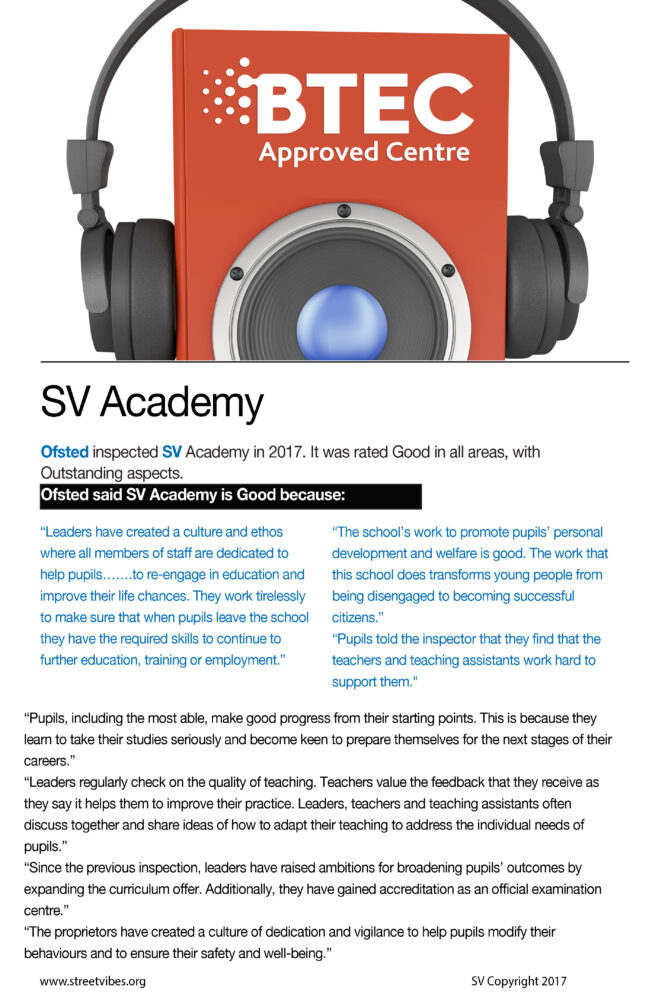 How Does SV Academy Work
