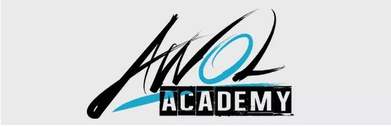 AWOL Academy Review