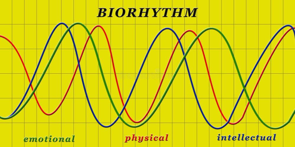 BioRhythm Review