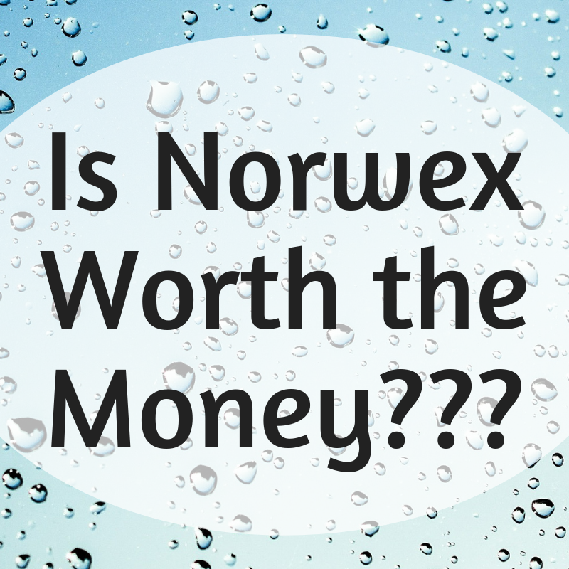 Is Norwex Really Worth It