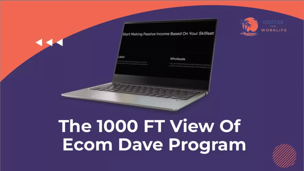 1000FT Overview of Ecom Dave