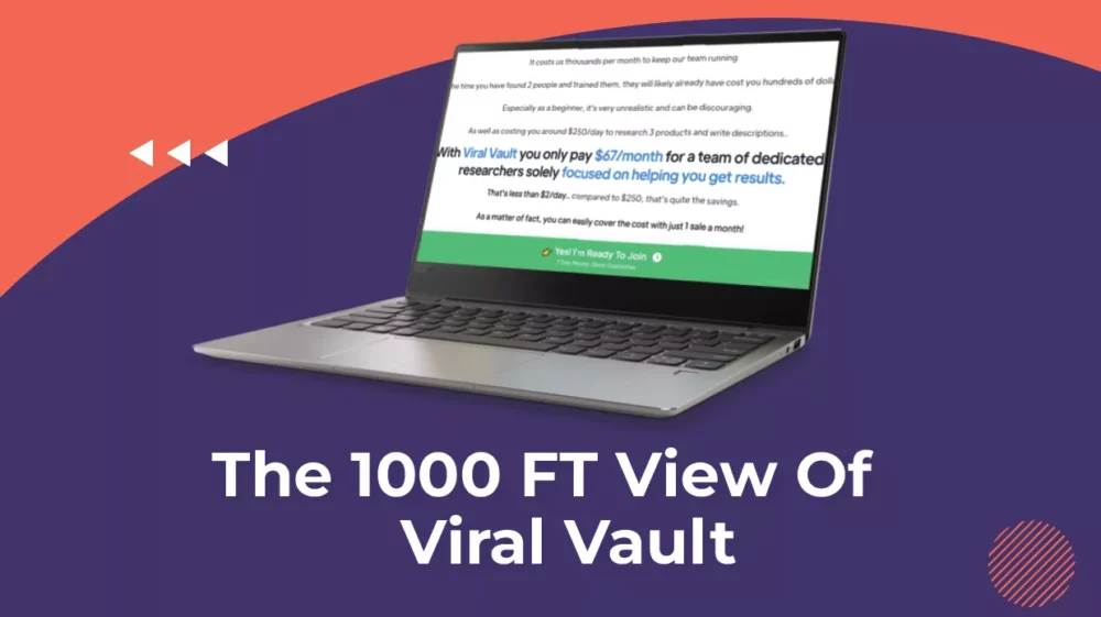 1000Ft View of Viral Vault