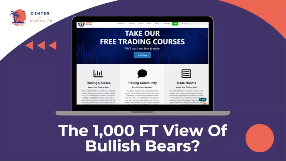Bullish Bears The 1,000FT Overview Of This Online Opportunity