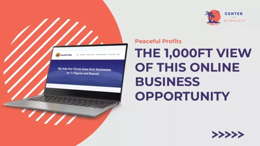 Peaceful Profits- The 1,000FT Overview Of This Online Opportunity