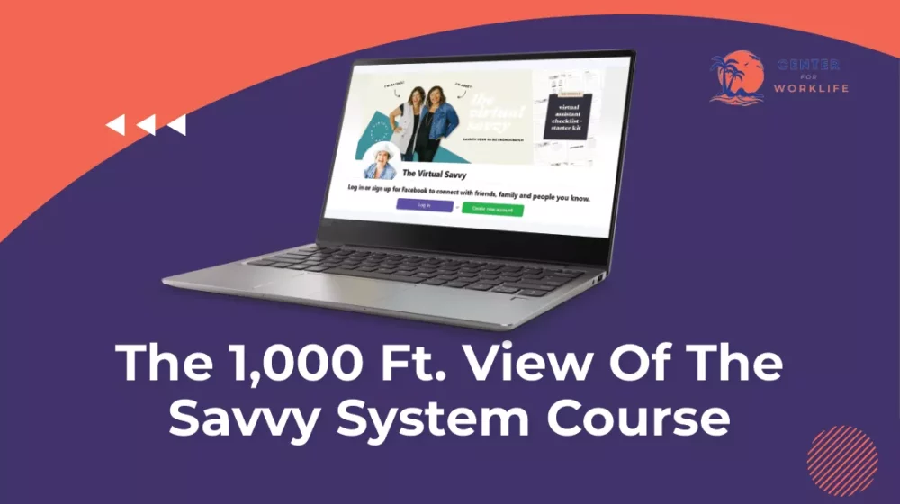 The Savvy System Course- The 1,000FT Overview Of This Online Opportunity