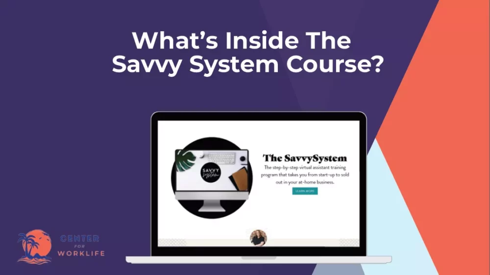 What’s Inside The Savvy System Course
